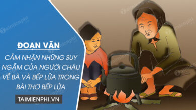 doan van cam nhan nhung suy ngam cua nguoi chau ve ba va bep lua trong bai tho bep lua