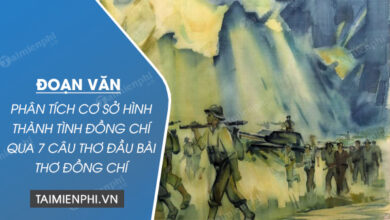 doan van phan tich co so hinh thanh tinh dong chi qua 7 cau tho dau bai tho dong chi