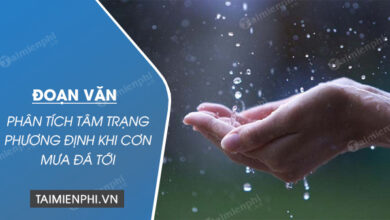 doan van phan tich tam trang phuong dinh khi con mua da toi